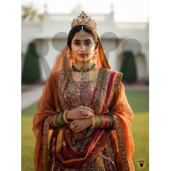 The Colourful Maharani